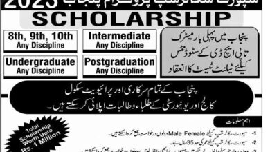 Support Scholarships Program Punjab 2023