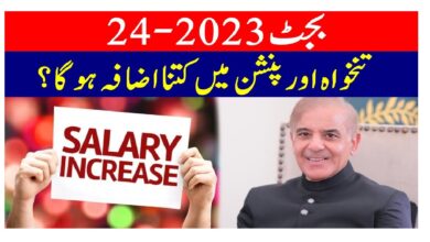 20% Salary Increase Expected in Federal Budget 2023-24