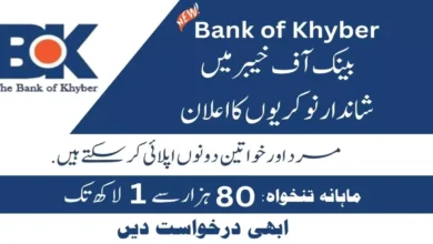 Bank of Khyber Jobs