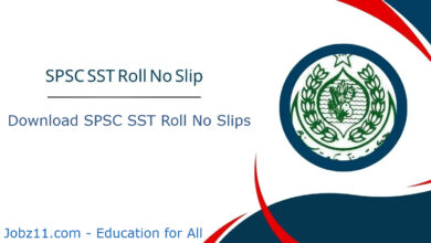SPSC SST Roll No Slip 2024