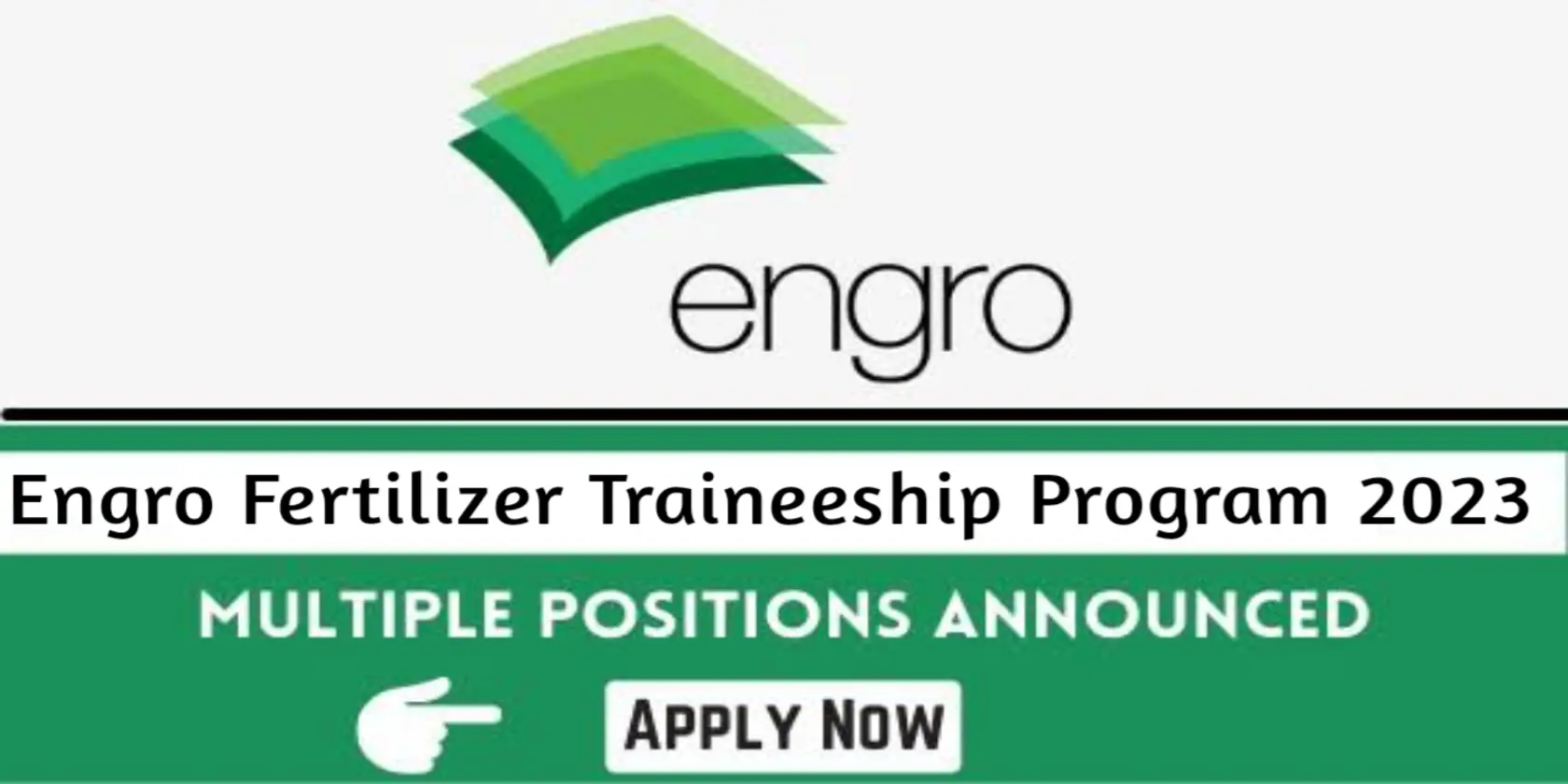 Engro Fertilizer Traineeship Program 2024