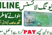 Learner Driving License in Punjab 2024 Fee and Online Process