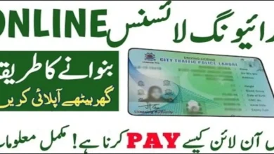 Learner Driving License in Punjab 2024 Fee and Online Process