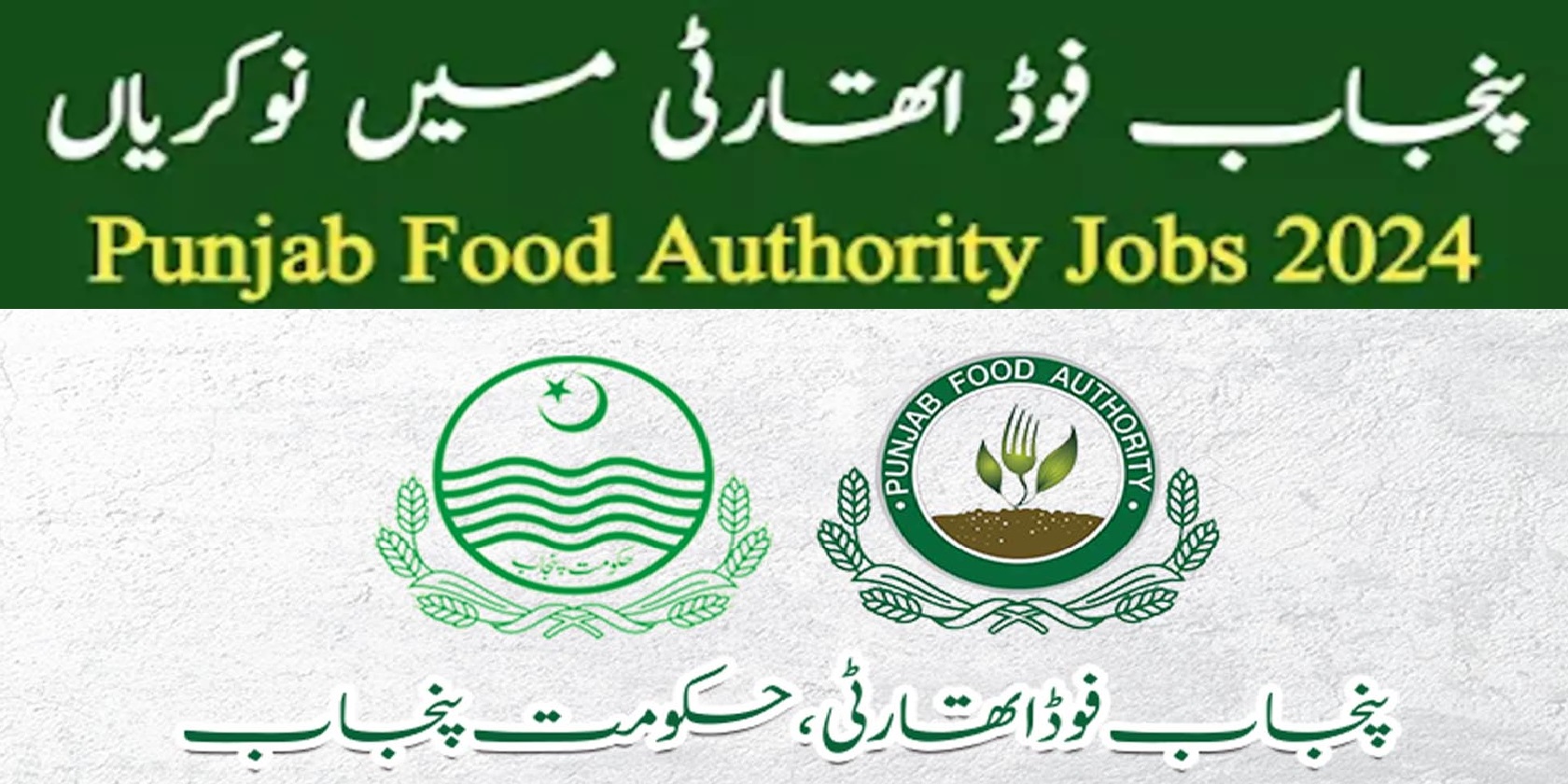 Punjab Food Authority Jobs 2024