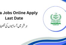 NADRA Jobs 2024 City Wise Details of Posts for Junior Executives