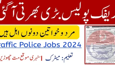 Punjab Traffic Police Jobs 2024