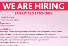 Bank Albaraka Banaat BSO Batch 2024 Online Apply