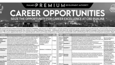 Punjab Central Business District CBD Jobs 2024 Advertisement